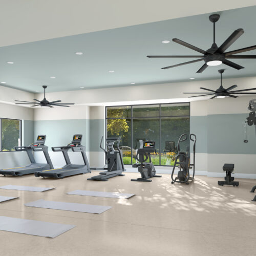Little Elm Fitness Studio Rendering