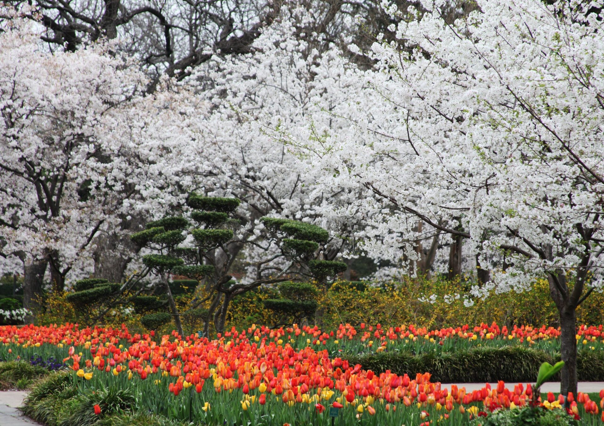 DFW Spring Bucket List | Ladera Texas