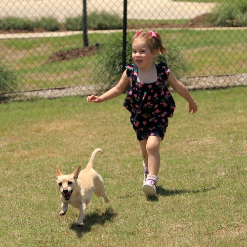 little girl running with small dog