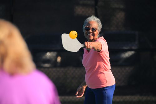 pickleball model