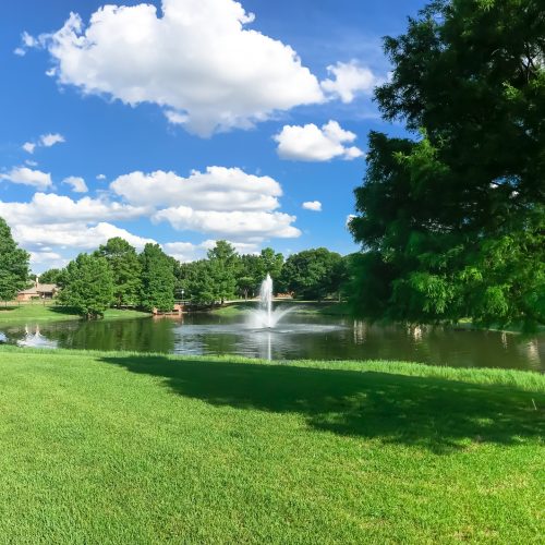 Ladera Living pond